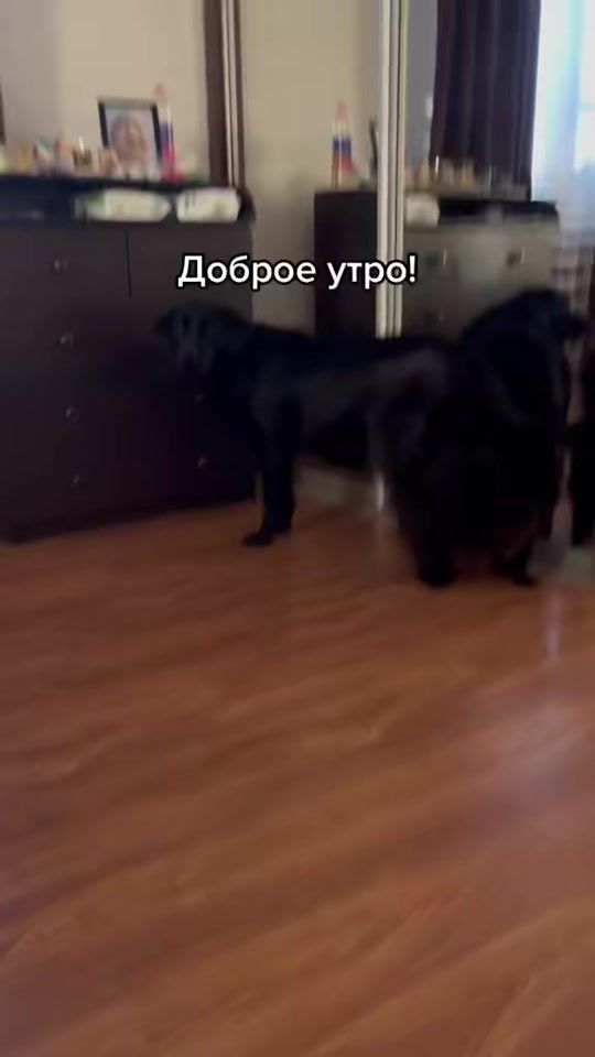 TikTok video thumbnail by kety05135
