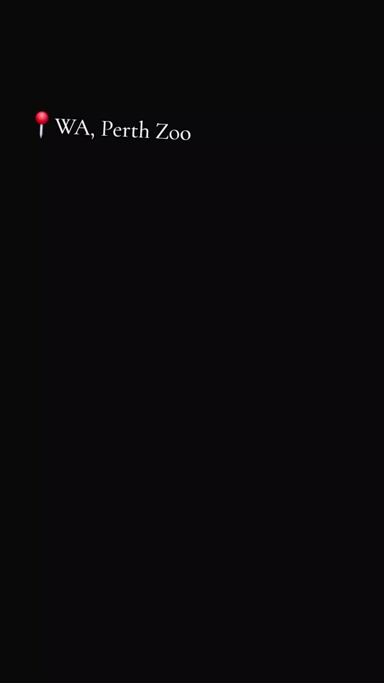 TikTok video thumbnail by andyaesthetic