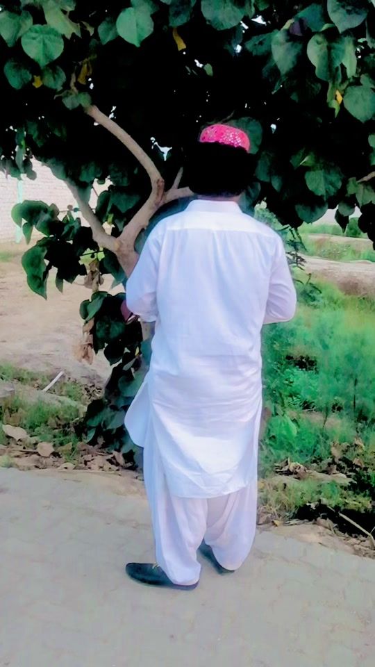 TikTok video thumbnail by walishaikh64