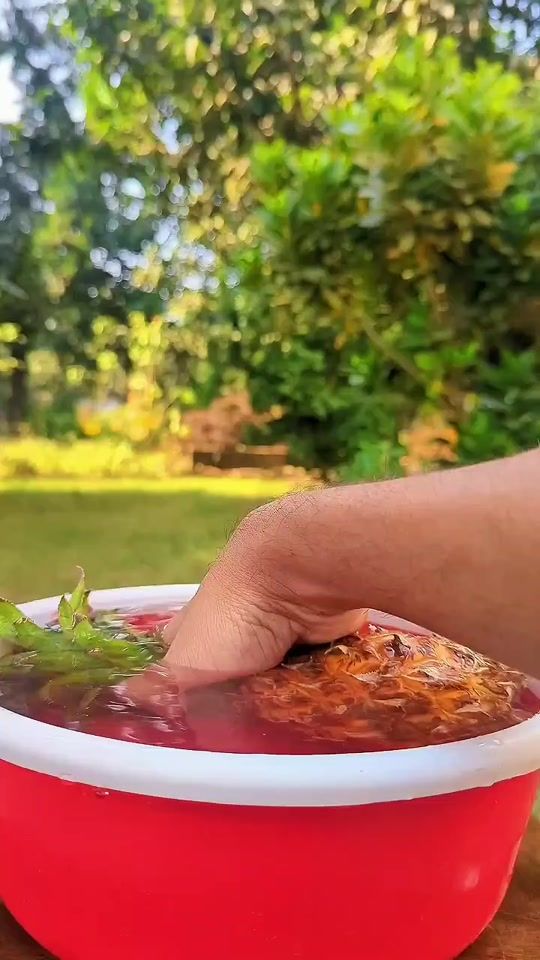 TikTok video thumbnail by user164846199