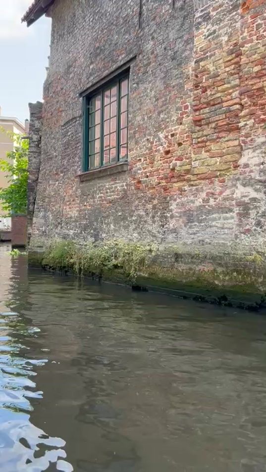 TikTok video thumbnail by hohomish