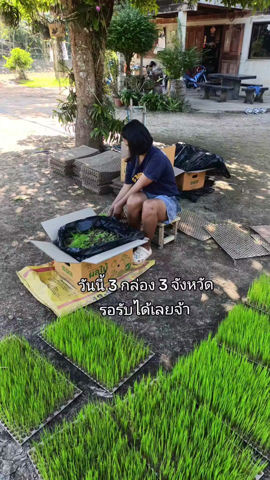 TikTok video thumbnail by keekie2238