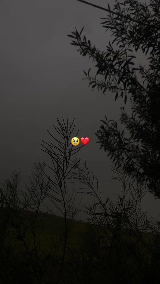 TikTok video thumbnail by wassim_sid3
