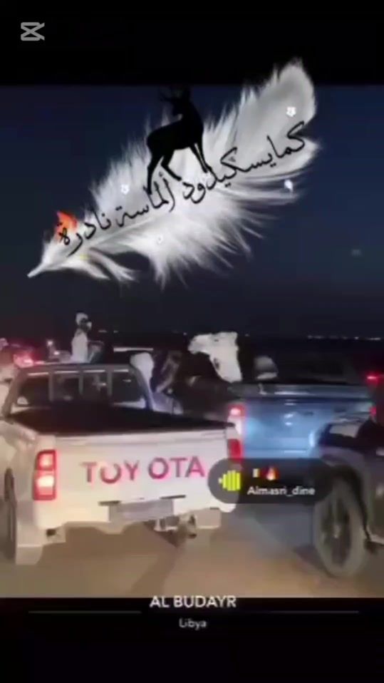 TikTok video thumbnail by soultan______hallami