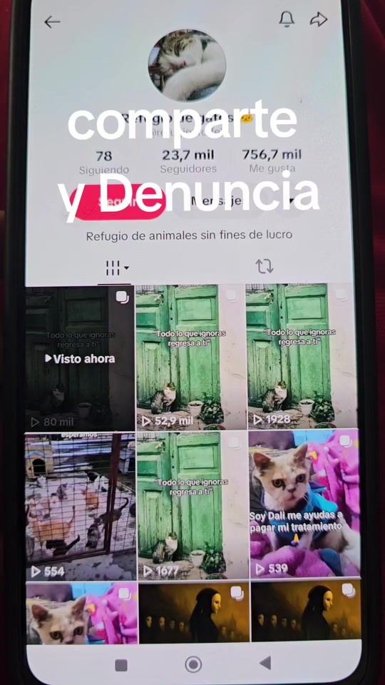 TikTok video thumbnail by mininos_felices