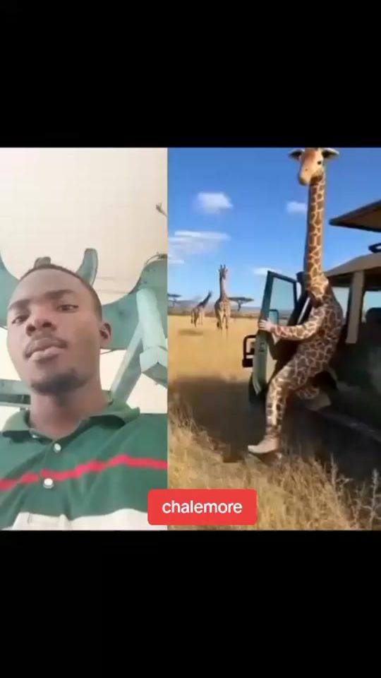 TikTok video thumbnail by chale.more