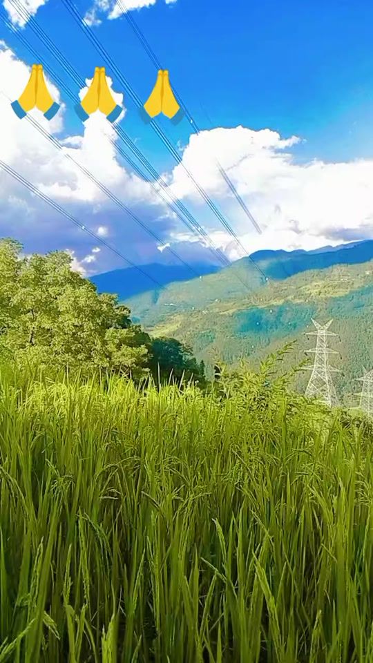 TikTok video thumbnail by mayat65555