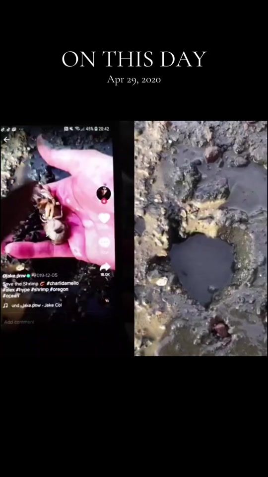 TikTok video thumbnail by wmijo