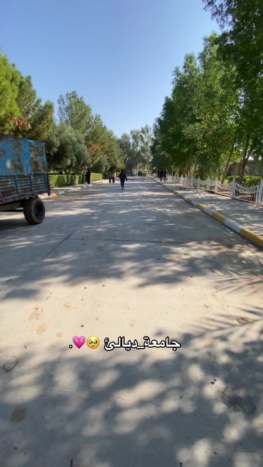 TikTok video thumbnail by z____am3