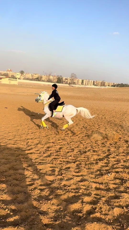 TikTok video thumbnail by _mido.kheil1