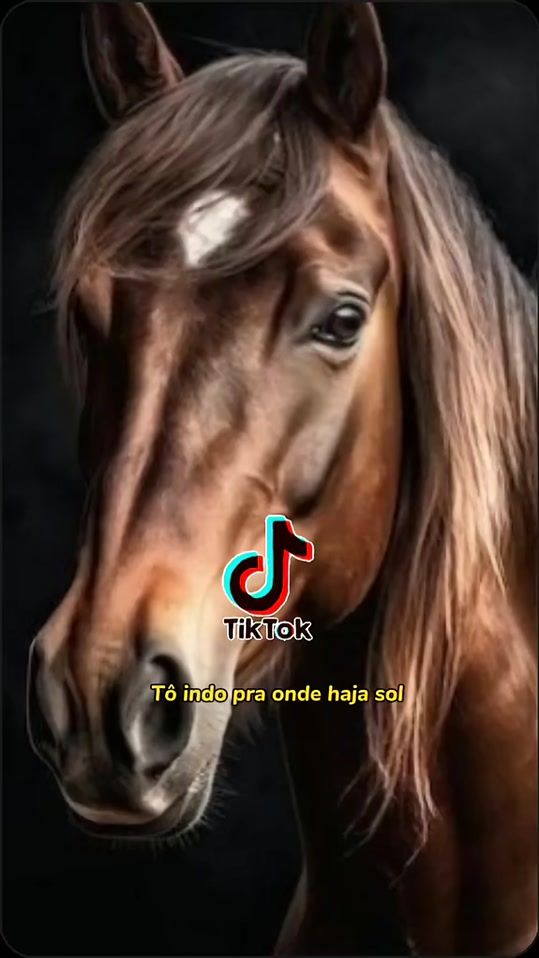 TikTok video thumbnail by status_vaquejada.ofc