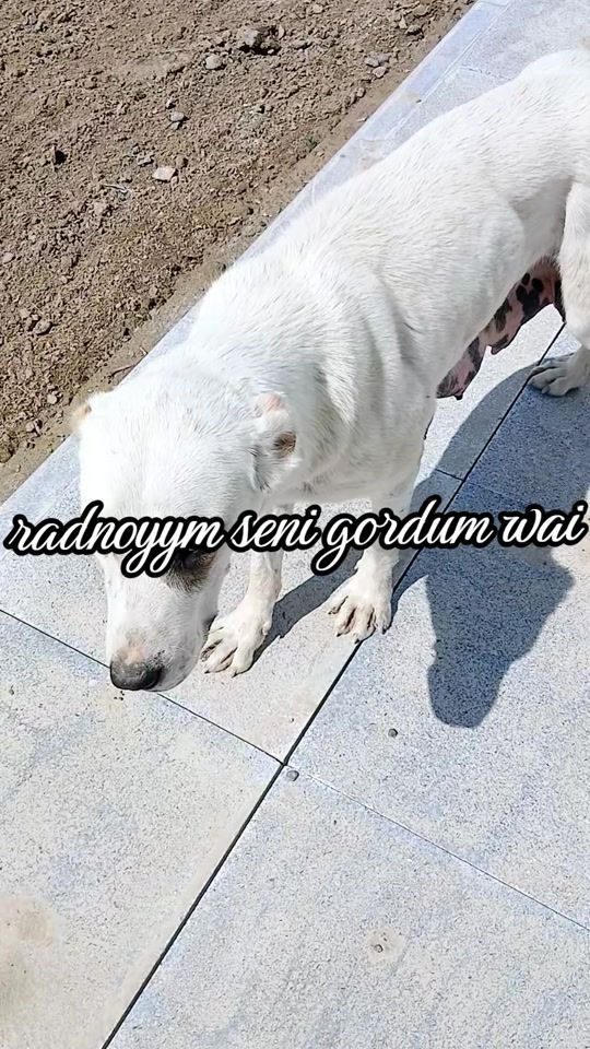 TikTok video thumbnail by the_bezi