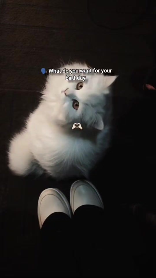 TikTok video thumbnail by eeza_khan_019