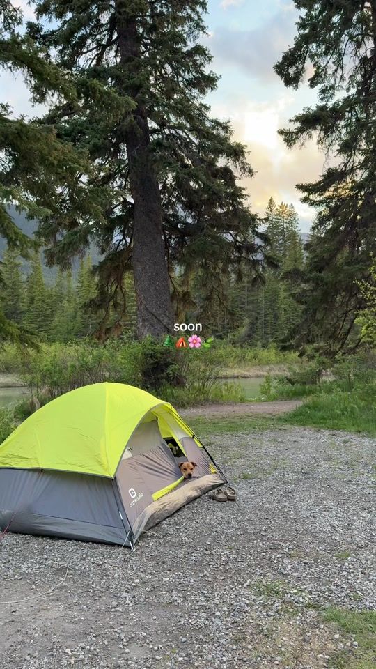 TikTok video thumbnail by kat_khoroshun