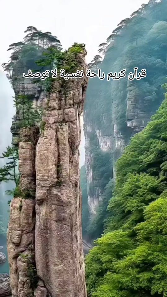 TikTok video thumbnail by alsakrcc