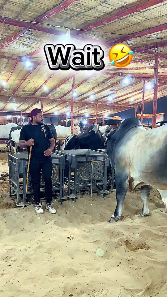 TikTok video thumbnail by ballu1204