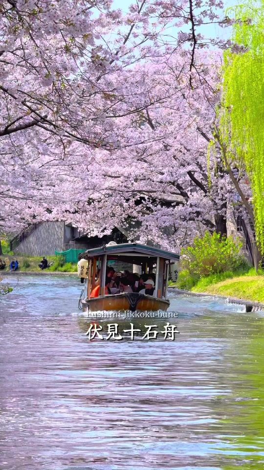 TikTok video thumbnail by matcha_films