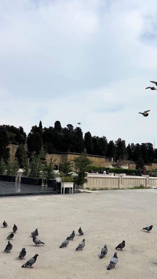 TikTok video thumbnail by fatime__313__