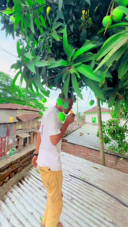 TikTok video thumbnail by mdalie810