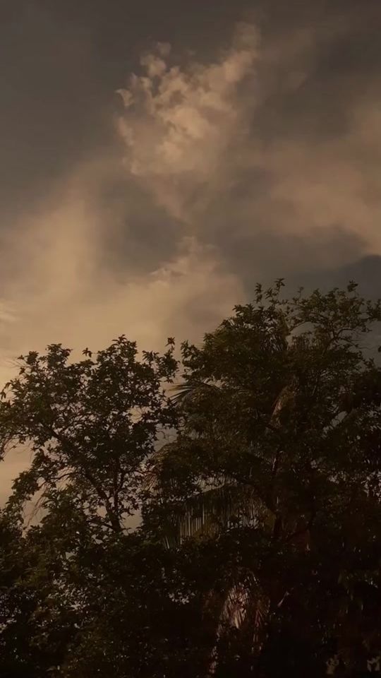 TikTok video thumbnail by myseelff4
