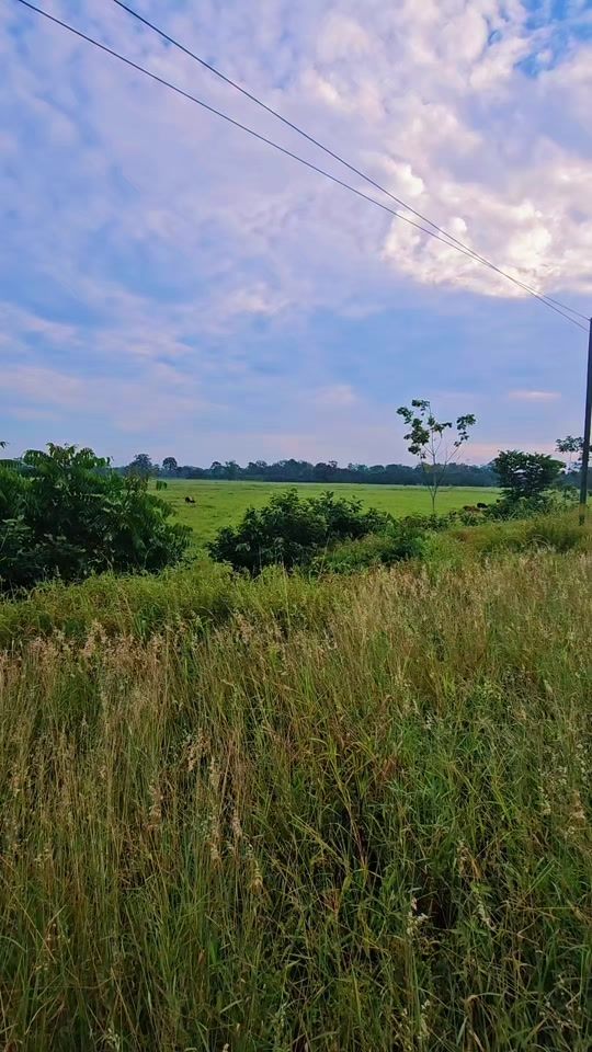 TikTok video thumbnail by videos.de.naturale