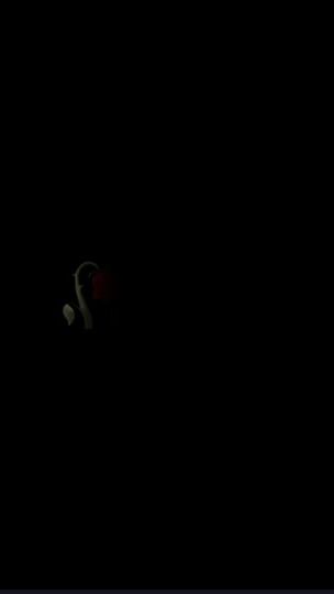 TikTok video thumbnail by salim__official.com