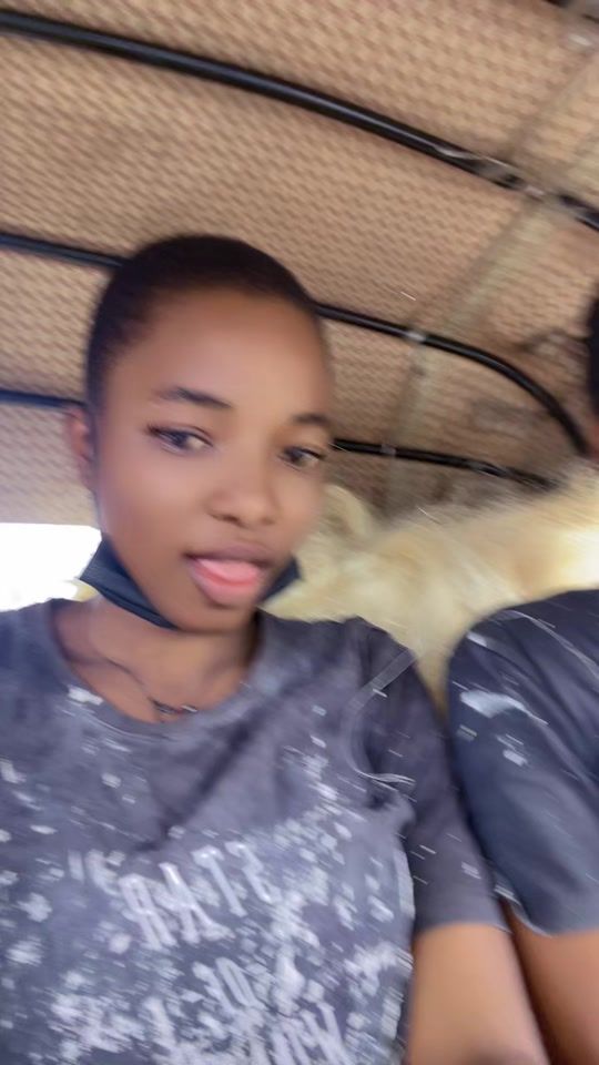 TikTok video thumbnail by rolandestaffeuse.4