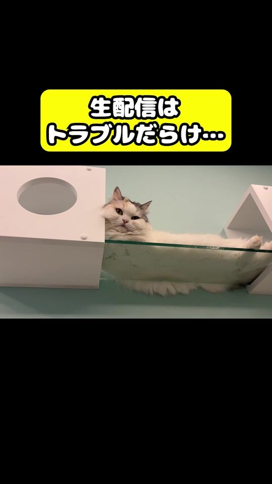 TikTok video thumbnail by tsukushitube