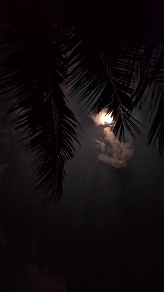 TikTok video thumbnail by rahu_rahoo