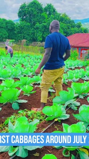 TikTok video thumbnail by rr_mixed_farming
