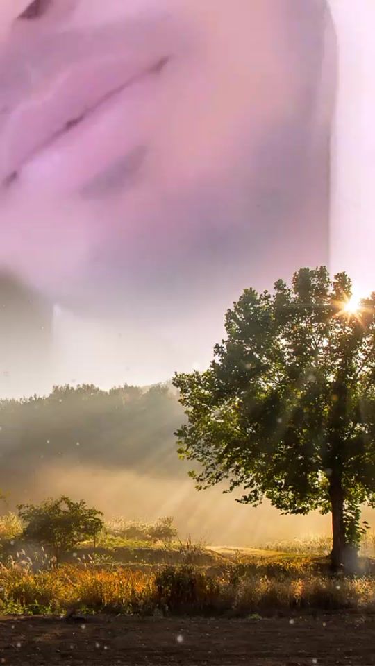 TikTok video thumbnail by md.ismail43077