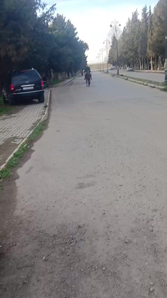 TikTok video thumbnail by ramin5ulduz