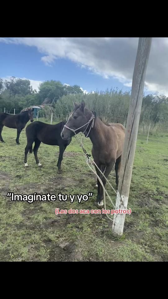 TikTok video thumbnail by joaco__zp