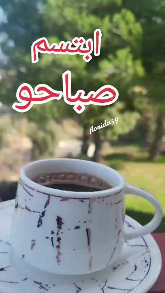 TikTok video thumbnail by floridaflorida39