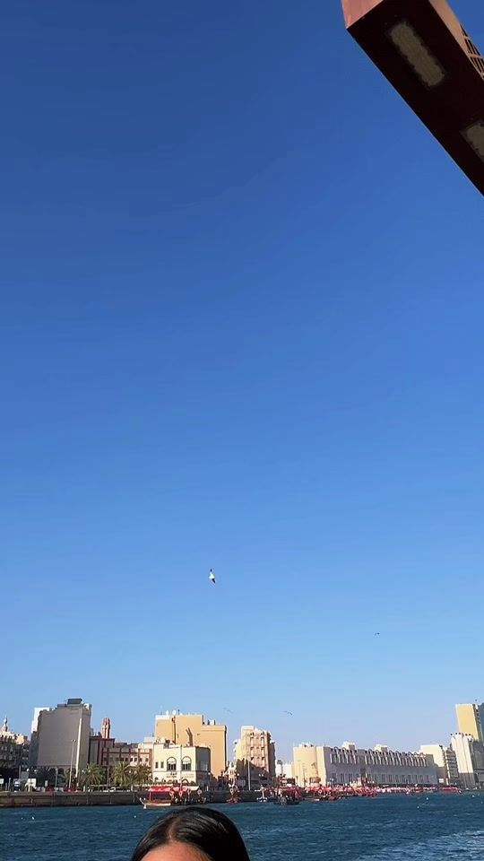 TikTok video thumbnail by nehakc123