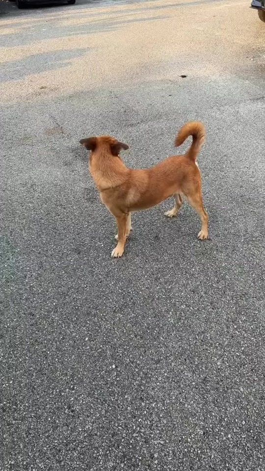 TikTok video thumbnail by _shuvetharaja_