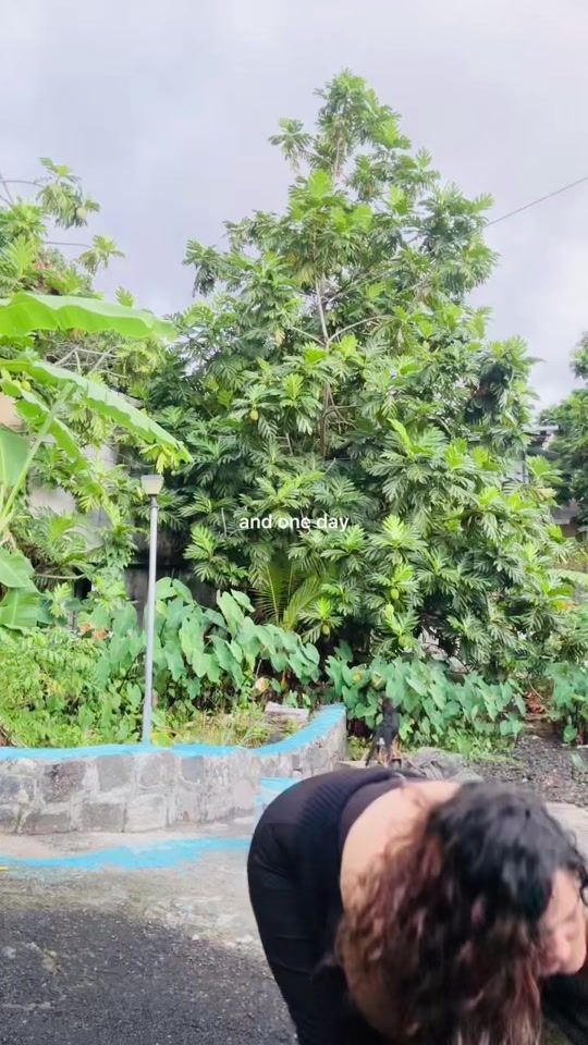 TikTok video thumbnail by nayaaaa3_3