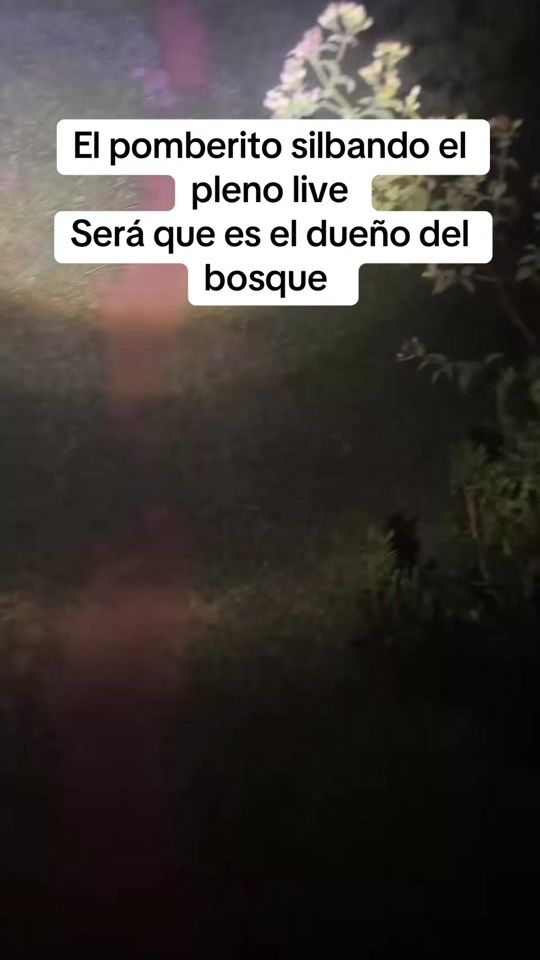 TikTok video thumbnail by manuchopy