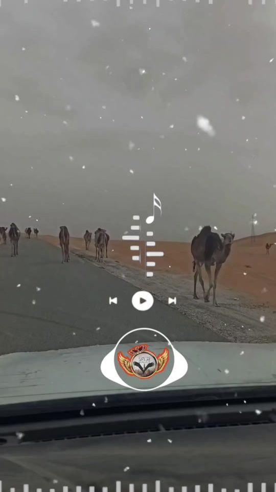 TikTok video thumbnail by .20248609