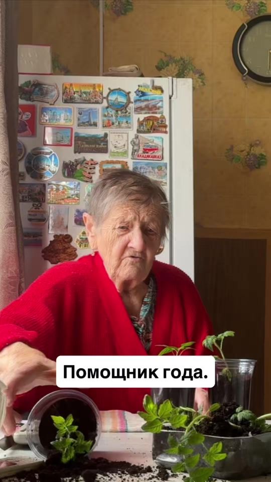 TikTok video thumbnail by terebilov_anton