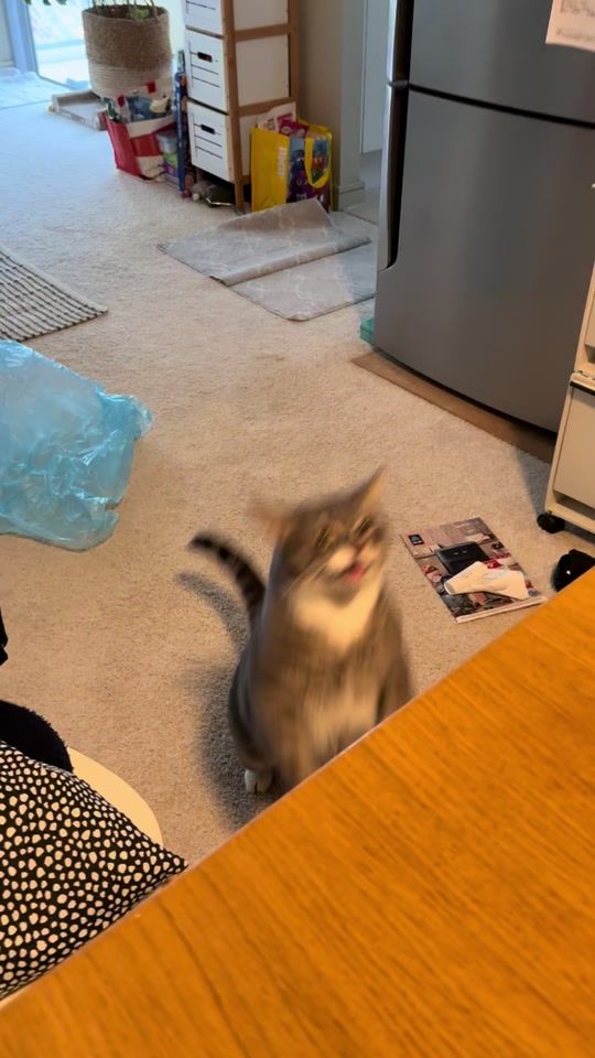 TikTok video thumbnail by kinya787