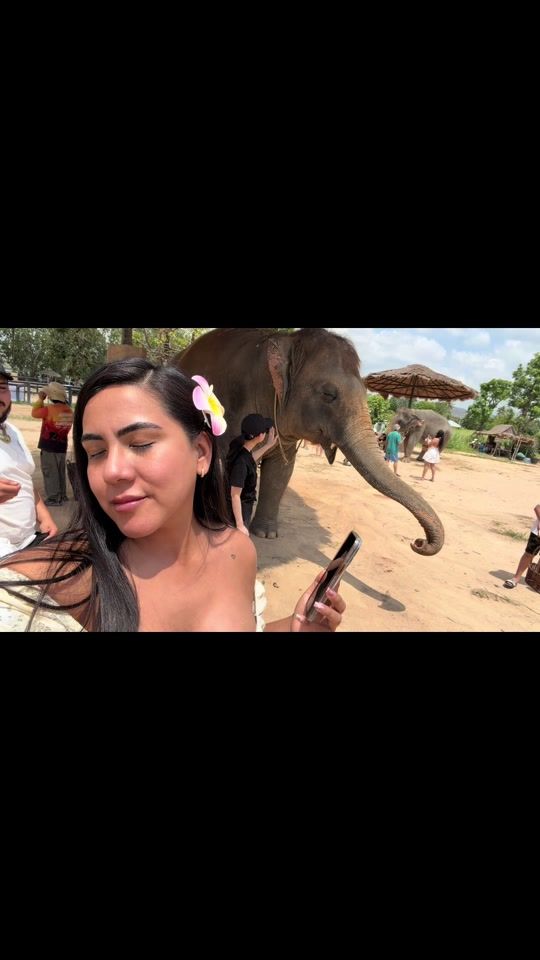 TikTok video thumbnail by soy_dianalcc