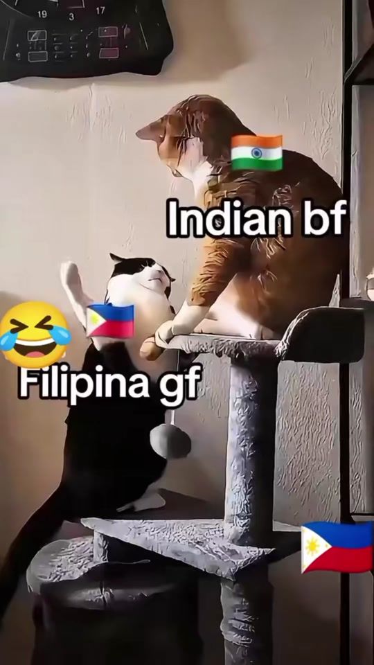 TikTok video thumbnail by mujeebkha040