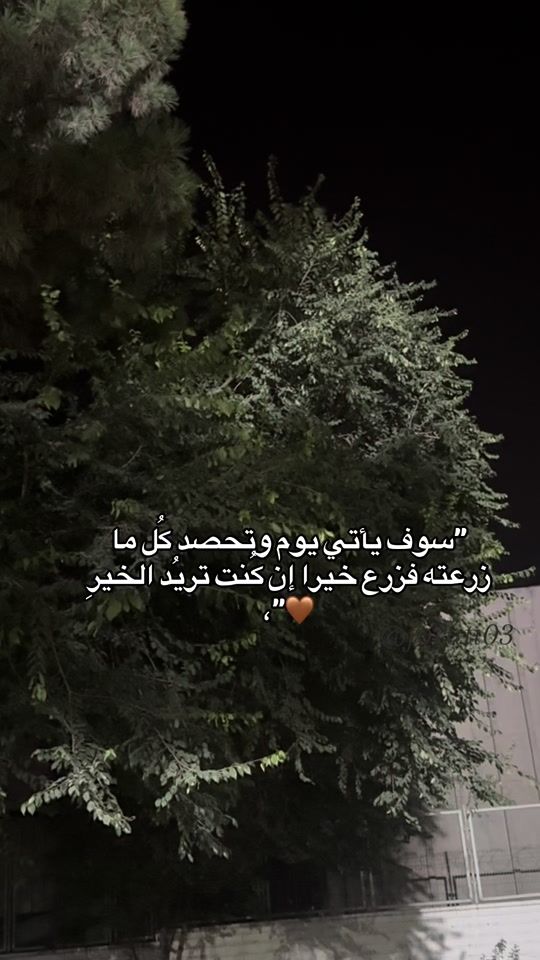 TikTok video thumbnail by forati03