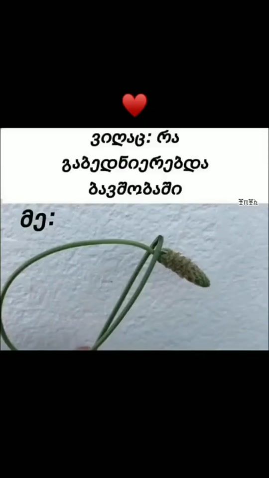 TikTok video thumbnail by tamtus24