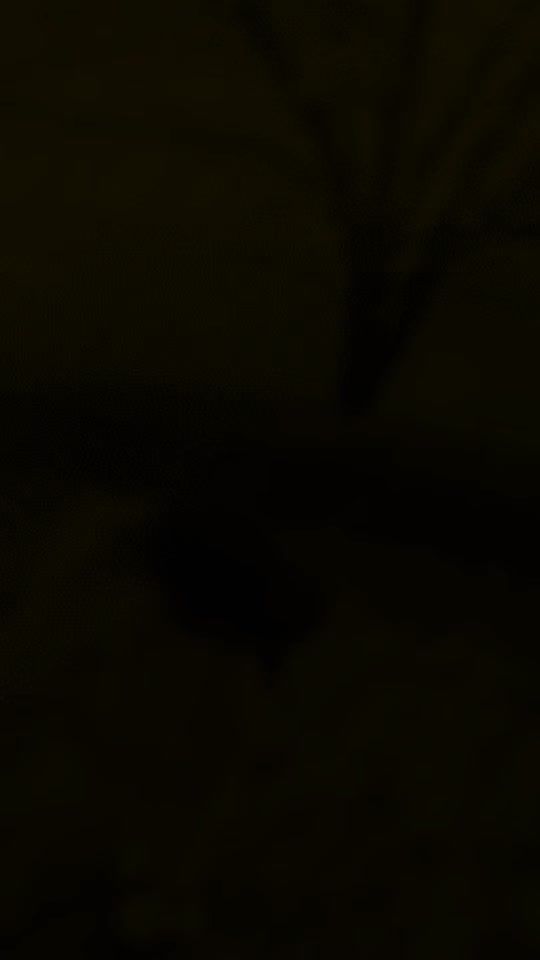 TikTok video thumbnail by tharusewwandi10