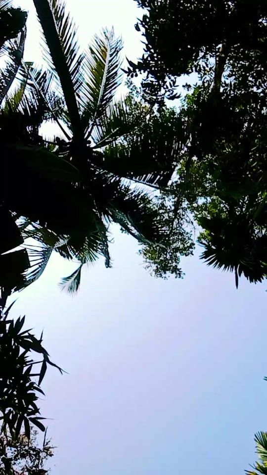 TikTok video thumbnail by azizul_042