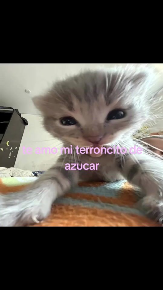 TikTok video thumbnail by jxan_7