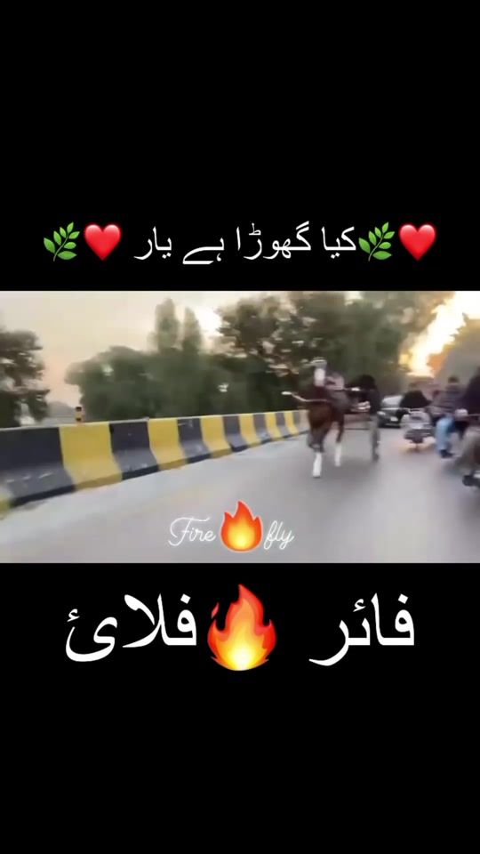 TikTok video thumbnail by razakhani08