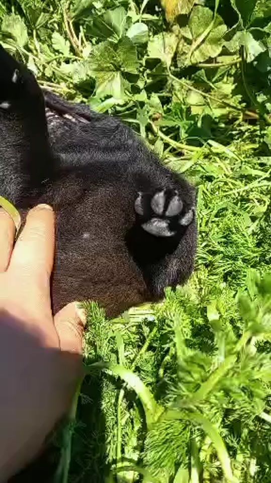 TikTok video thumbnail by mali_noi07